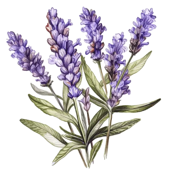 Linalool